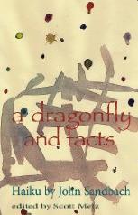 a dragonfly and fact
