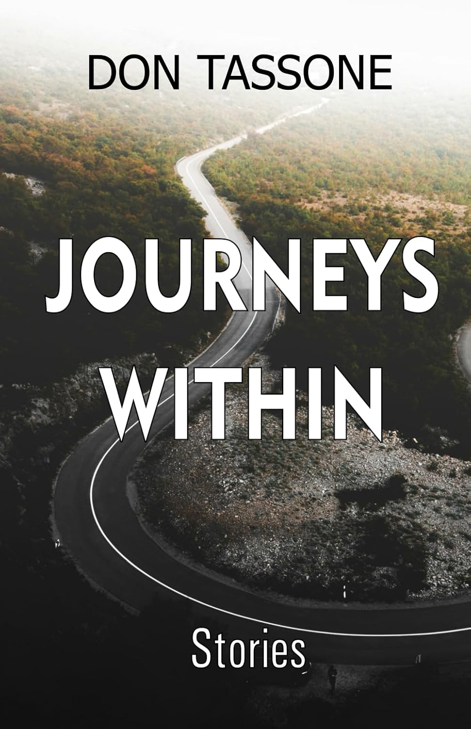 Journeys Within: Stories 